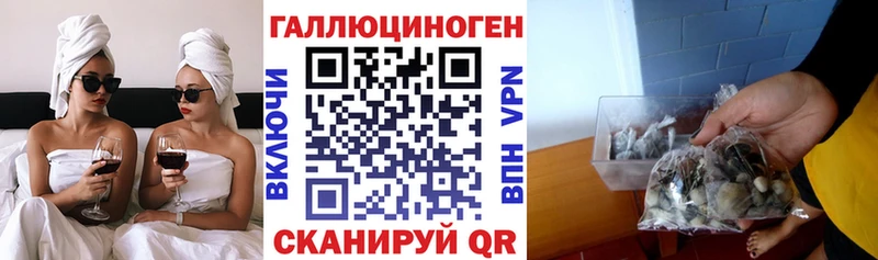 Купить  Иноземцево  Галлюциногенные грибы прущие грибы 
